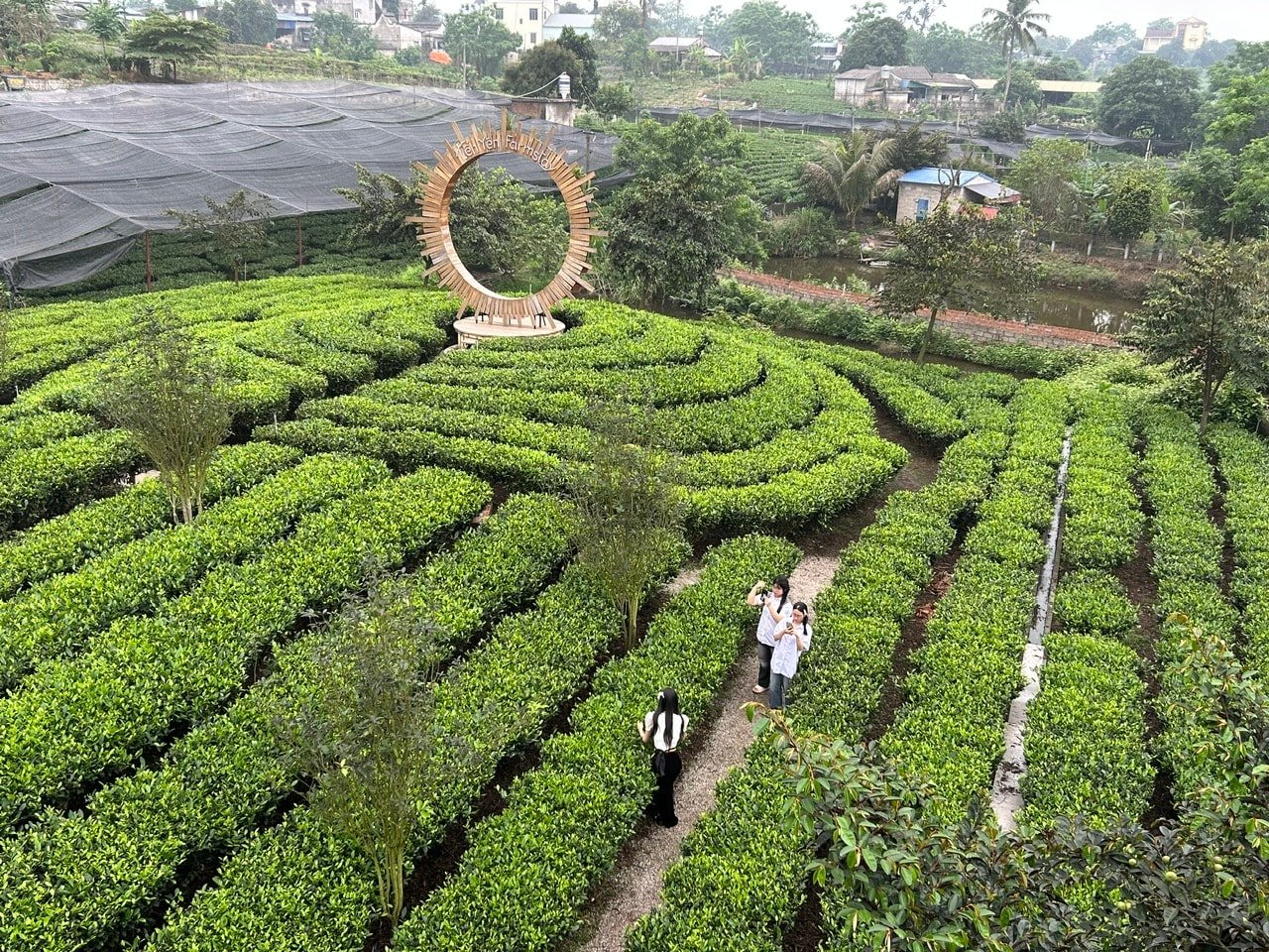 doi-che-tan-cuong-1.jpg