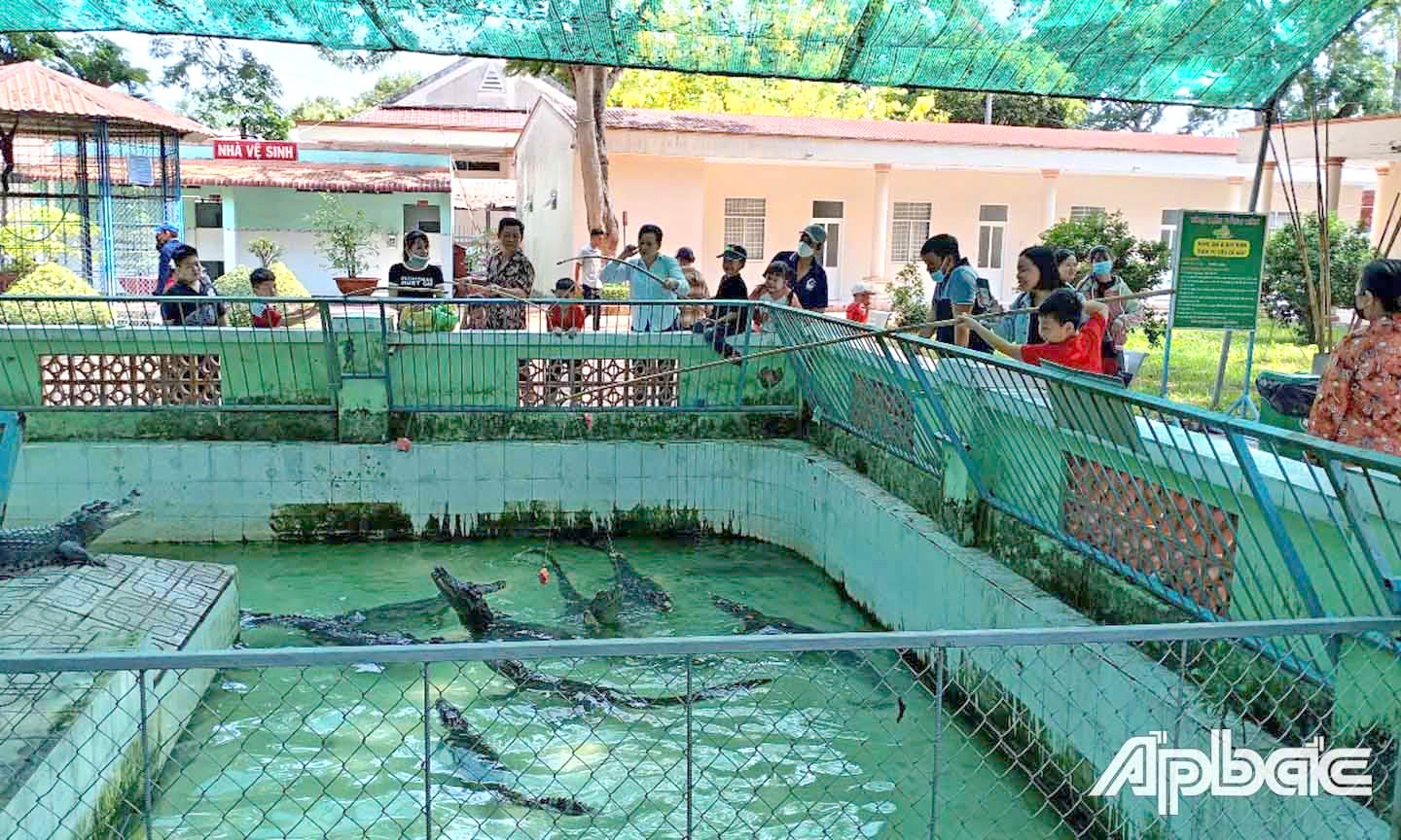 ភ្ញៀវទេសចរណ៍មកនេសាទក្រពើនៅកសិដ្ឋានចិញ្ចឹមពស់ Dong Tam ។