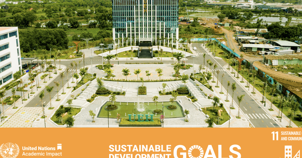 Ho Chi Minh City University of Economics appointed by the United Nations to an important international position