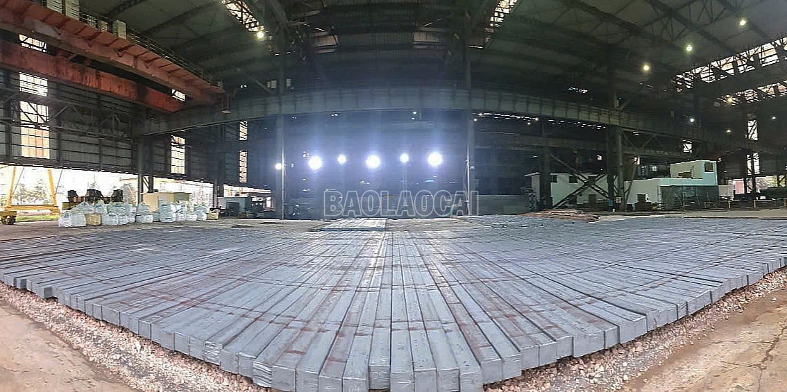 baolaocai-c_h7.jpg