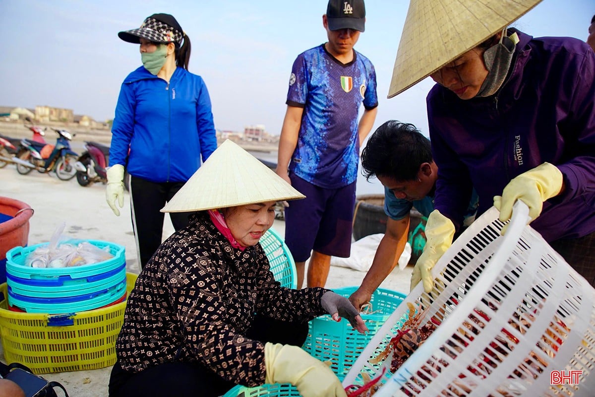 Bà Nguyễn Thị Lan (xã Cẩm Nhượng, Cẩm Xuyên) - chủ cơ sở mua bán hải sản Nam Lan cho biết: &quot;Mùa du lịch, nhu cầu tiêu thụ hải sản tăng cao. Vì vậy, chúng tôi cũng làm việc liên tục để đảm bảo nguồn cung cho các nhà hàng trên địa bàn và các vùng lân cận. Trung bình mỗi ngày, tôi thu mua từ 1 - 2 tấn hải sản các loại. Dịp này, thời tiết thuận lợi, ngư dân đánh bắt được nhiều loại hải sản, giá bán cao nên việc mua bán cũng thuận tiện hơn&quot;.