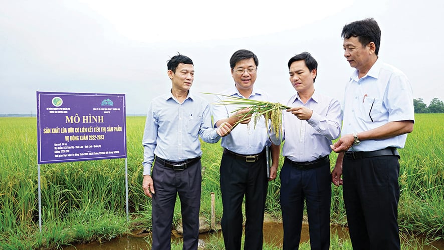ដាននៃកសិកម្មសរីរាង្គ