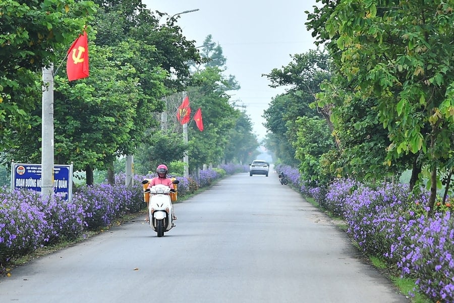 minh-quang.jpg