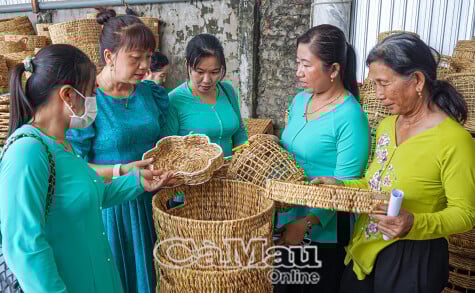 បងប្អូនស្រីចែករំលែកគំរូជីវភាព