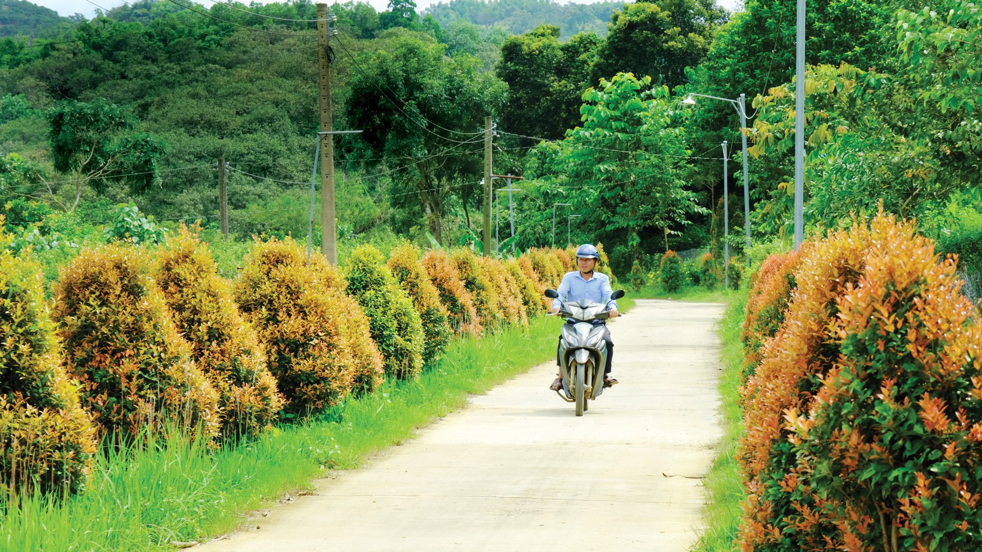 Green, clean, beautiful rural road in Nam Ninh commune, Da Huoai district