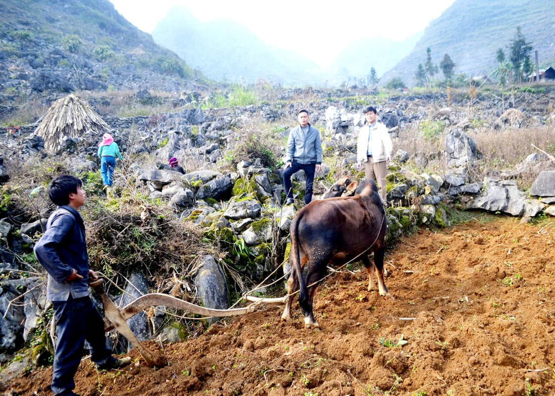 Focusing on poverty reduction, firmly entering the new era: Part 2 - Poverty reduction is fast but not sustainable