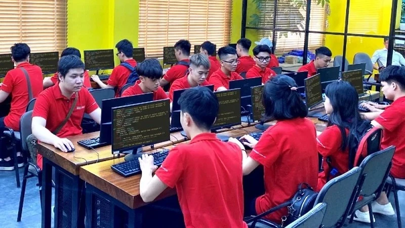 Enhancing practical capacity for digital human resources