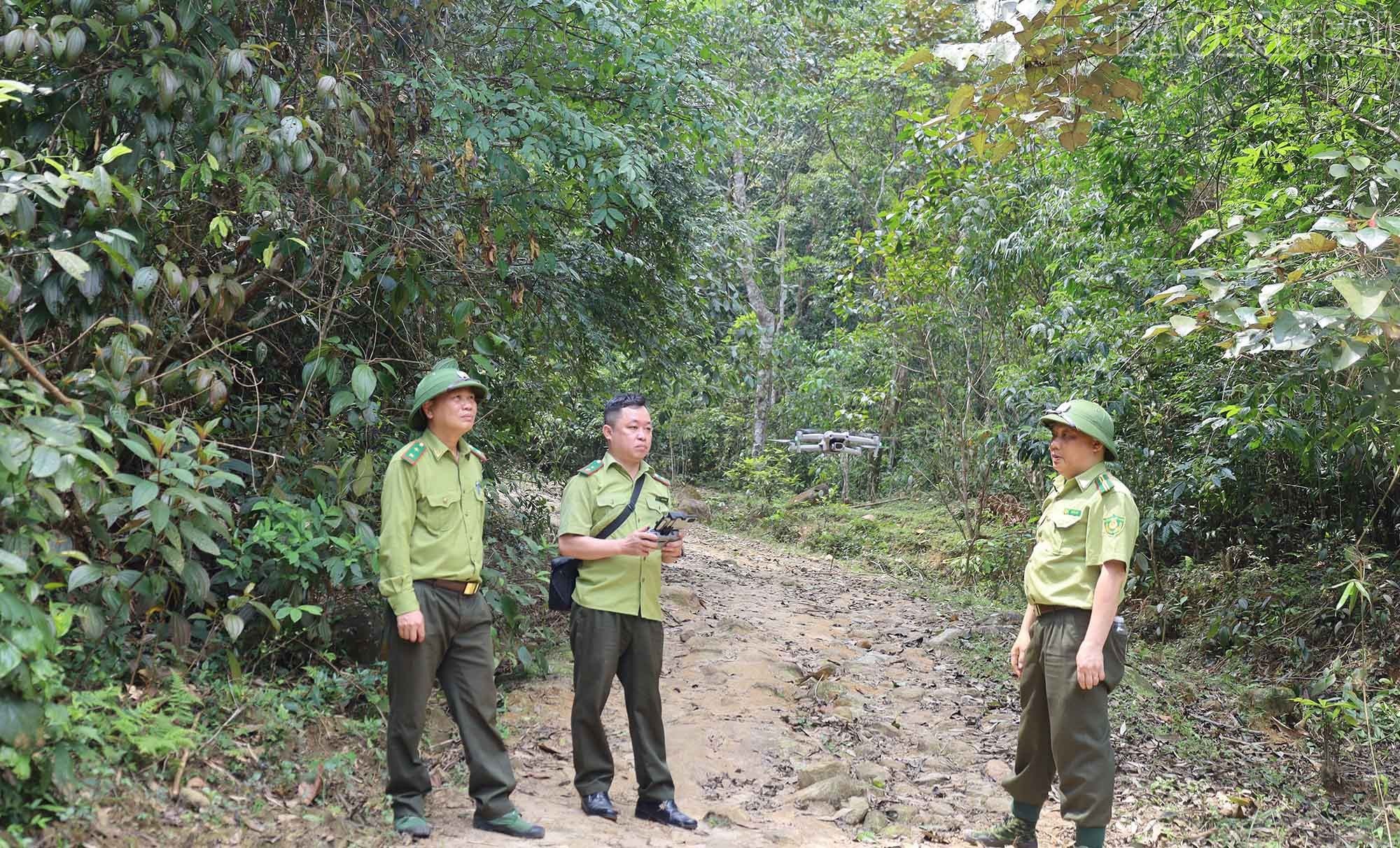 baolaocai-tr_4.jpg