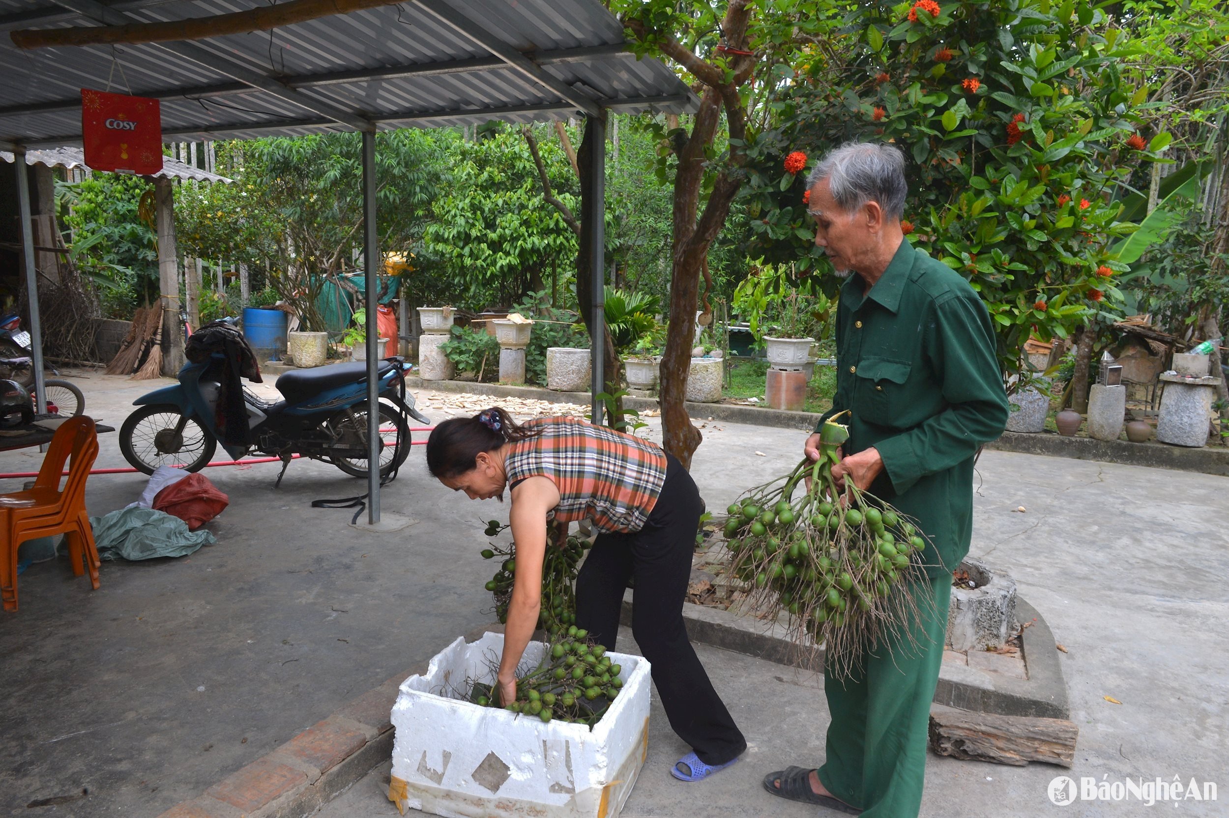 M. Nguyen Van Le dans la commune Kim Thanh, Yen Thanh