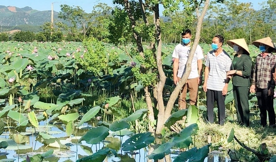 អាន-ភូ.jpg