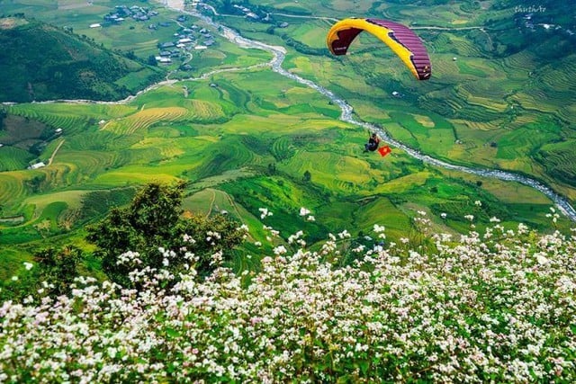 Các phi công bay dù lượn trên đỉnh đèo Khau Phạ. Ảnh: Cổng thông tin điện tử tỉnh Yên Bái.