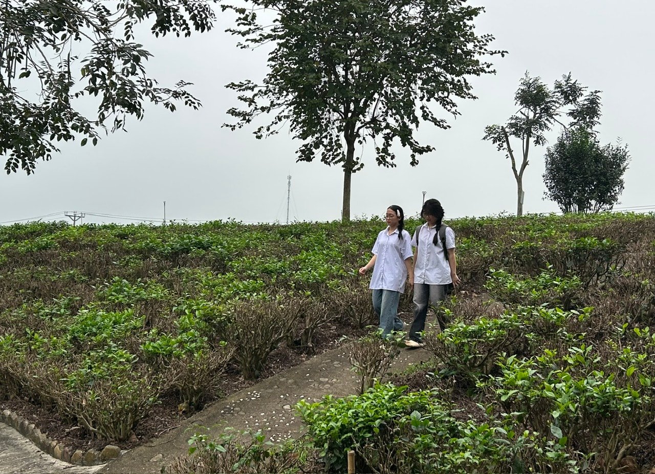 doi-che-tan-cuong.jpg