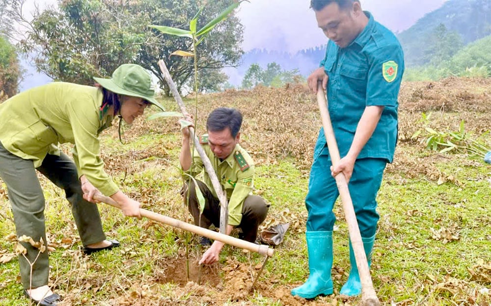 ลุคเยน: ส่งเสริมการพัฒนาป่าไม้ร่วมกับเศรษฐกิจป่าไม้ที่ยั่งยืน