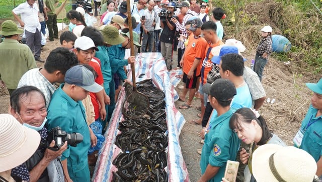 Rộn ràng bơi xuồng ba lá, đi cầu khỉ giữa rừng nguyên sinh Cà Mau- Ảnh 5.