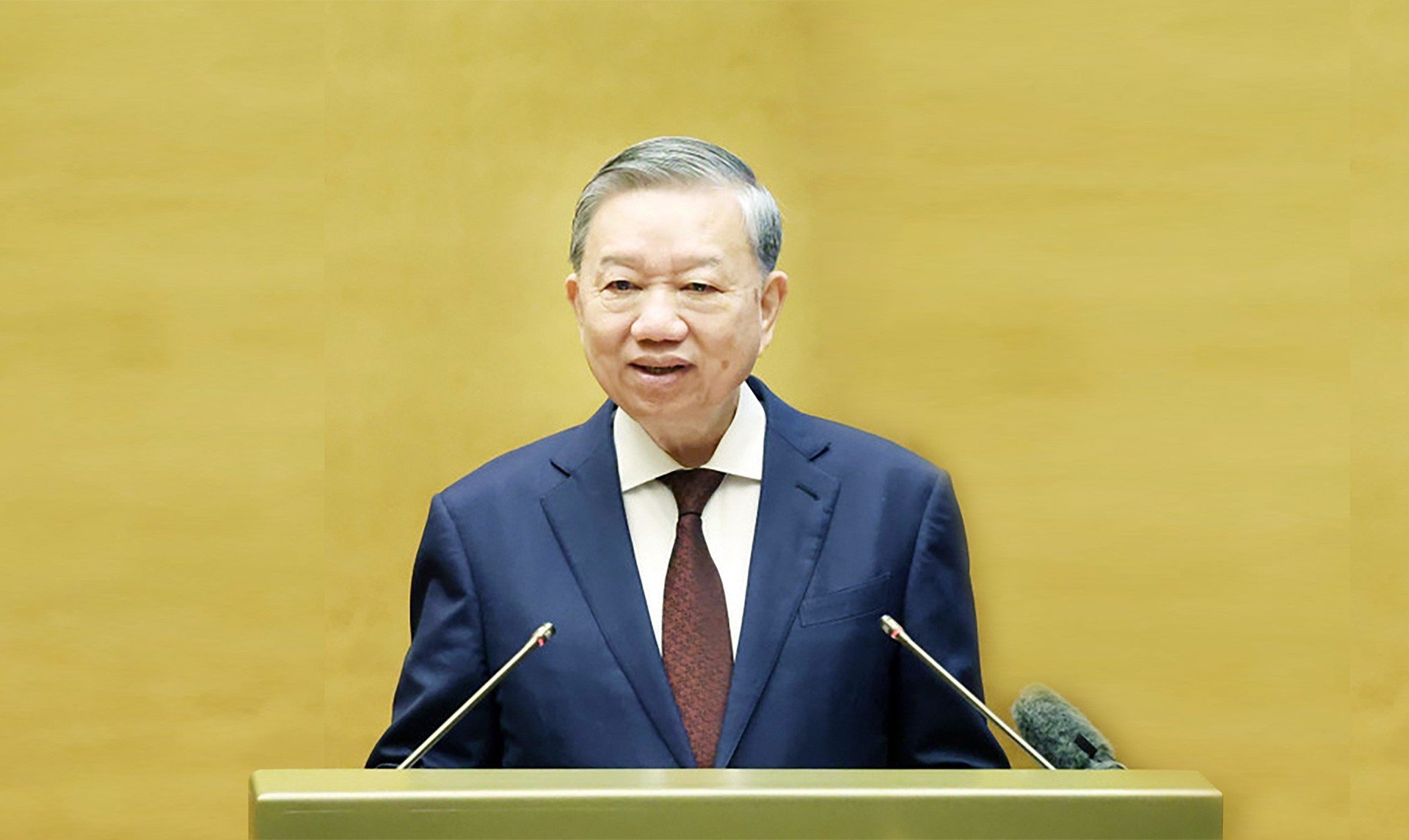 head-bai-1-61.jpg