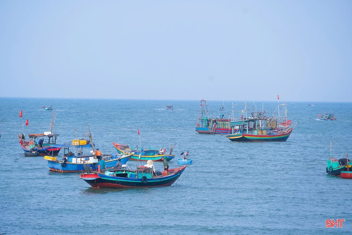 Tại bến cá Cồn Gò (xã Cẩm Nhượng, huyện Cẩm Xuyên), không khí lao động diễn ra hối hả.