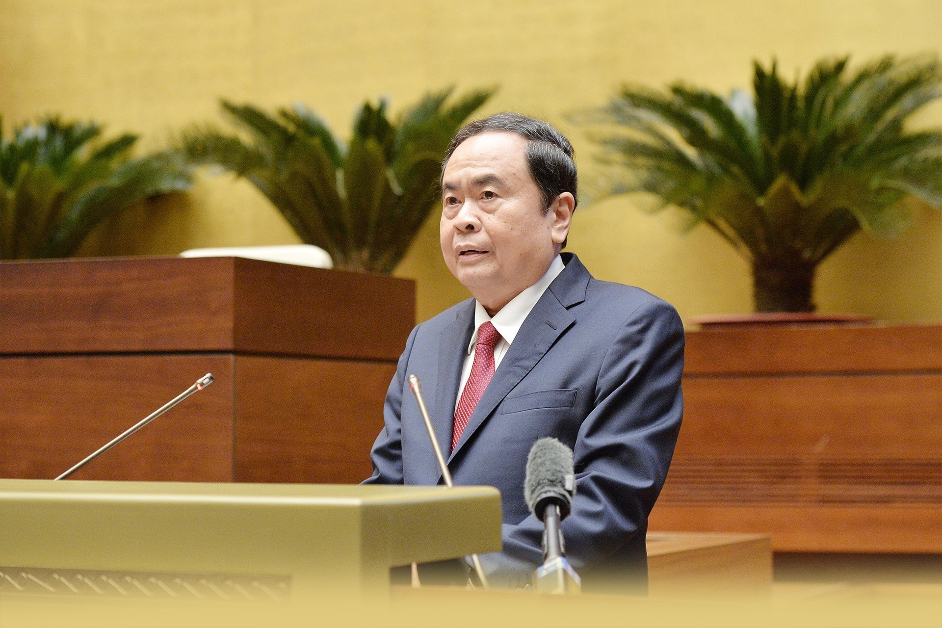 head-bai-1-61.jpg