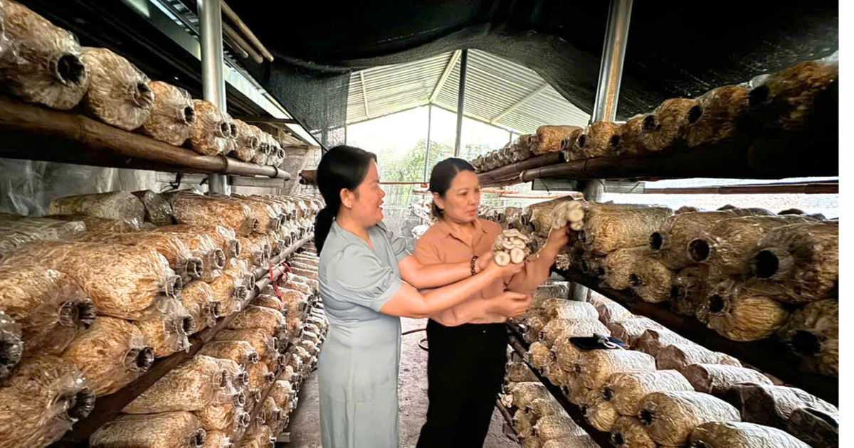 ស្ត្រីបាកានធ្វើសមាហរណកម្មយ៉ាងសកម្ម និងគ្រប់គ្រងសេដ្ឋកិច្ច