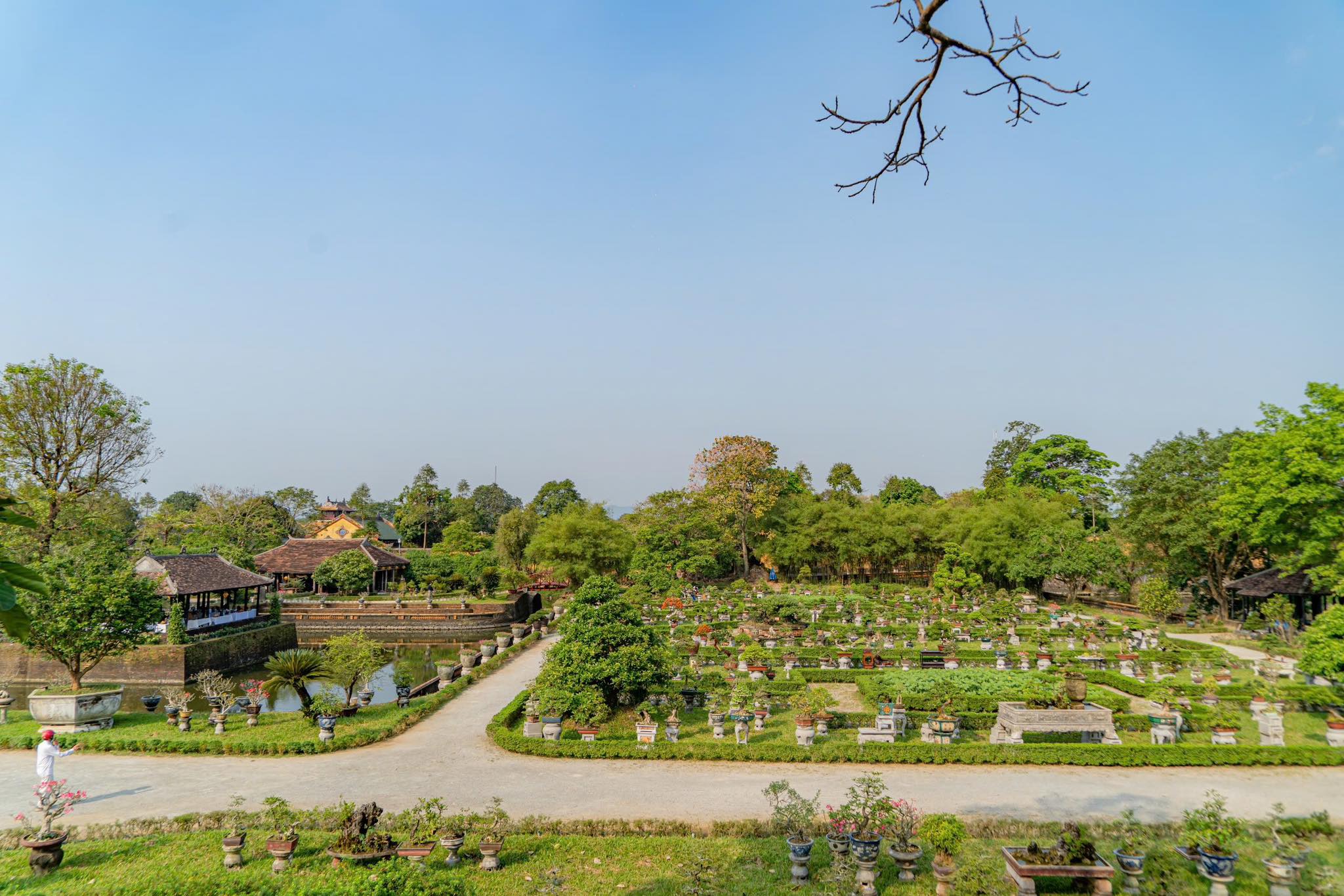 104 tác phẩm đoạt giải tại triển lãm cây kiểng, phong lan, đá cảnh ba miền