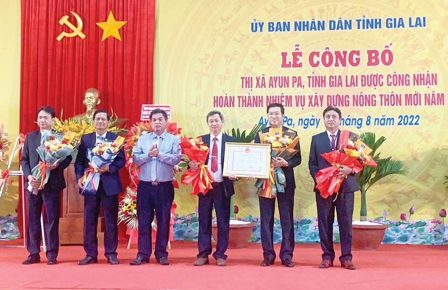 1bg-ayp1.jpg