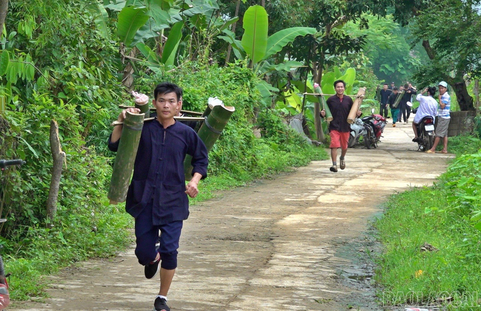 baolaocai-br_nuoc999.jpg