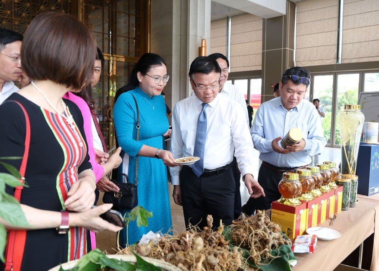 Phát triển 'thủ phủ sâm Ngọc Linh' thành trung tâm công nghiệp dược liệu- Ảnh 7.
