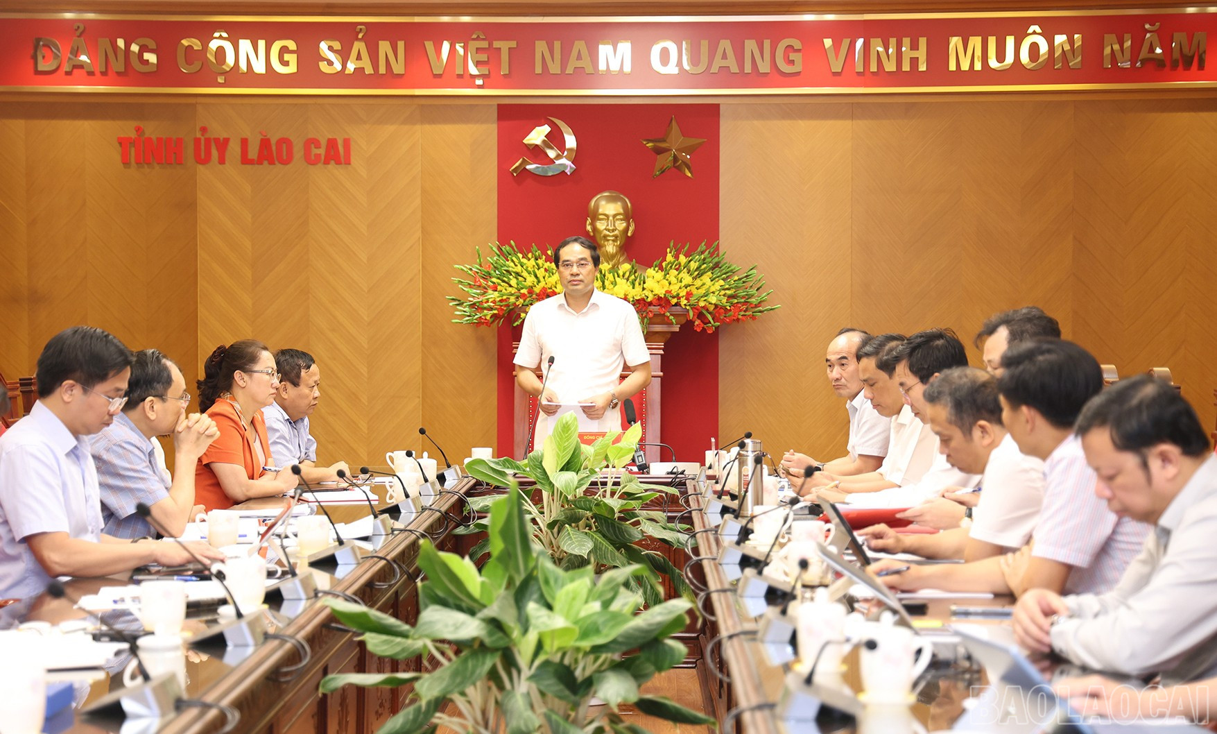 baolaocai-br_img-8599.jpg