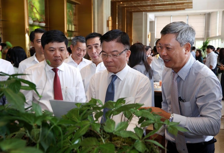 Phát triển 'thủ phủ sâm Ngọc Linh' thành trung tâm công nghiệp dược liệu- Ảnh 5.