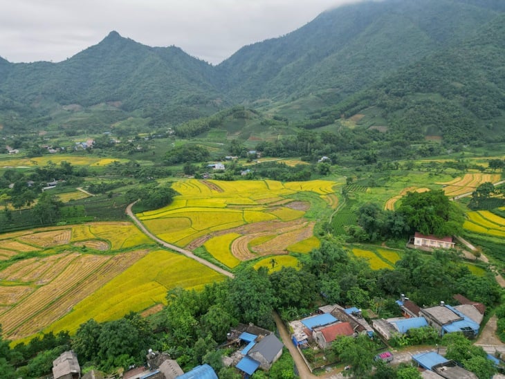 sáp nhập - Ảnh 5.