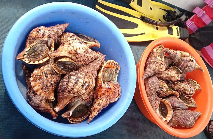Nha Trang - Ảnh 1.