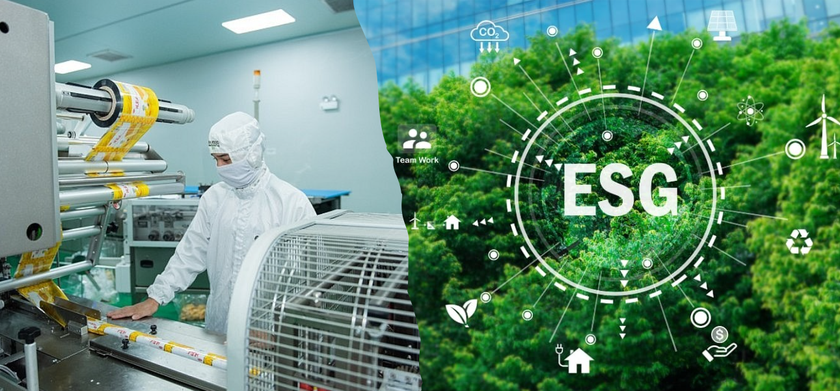 Việc áp dụng ESG vào hoạt động kinh doanh là xu thế tất yếu để doanh nghiệp đạt các mục tiêu phát triển bền vững. (Ảnh minh họa: Vietq.vn)