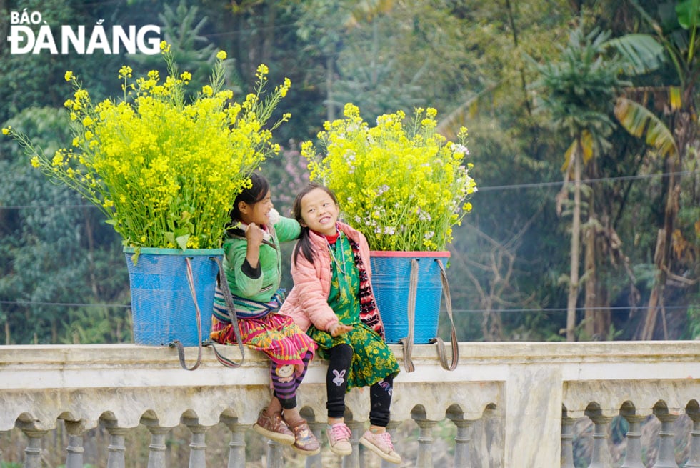 Mảnh đất vùng địa đầu Tổ quốc Hà Giang ghi dấu trong lòng du khách bởi sắc vàng rực của loài hoa cải bé nhỏ. Ảnh: KHẢ THỊNH