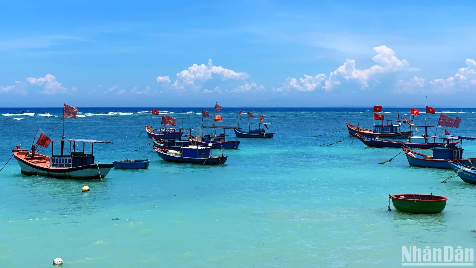 Du lịch Lý Sơn: Ấn tượng sắc xanh đảo An Bình ảnh 9