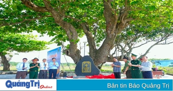 បេតិកភណ្ឌបៃតងនៅលើកោះ Con Co
