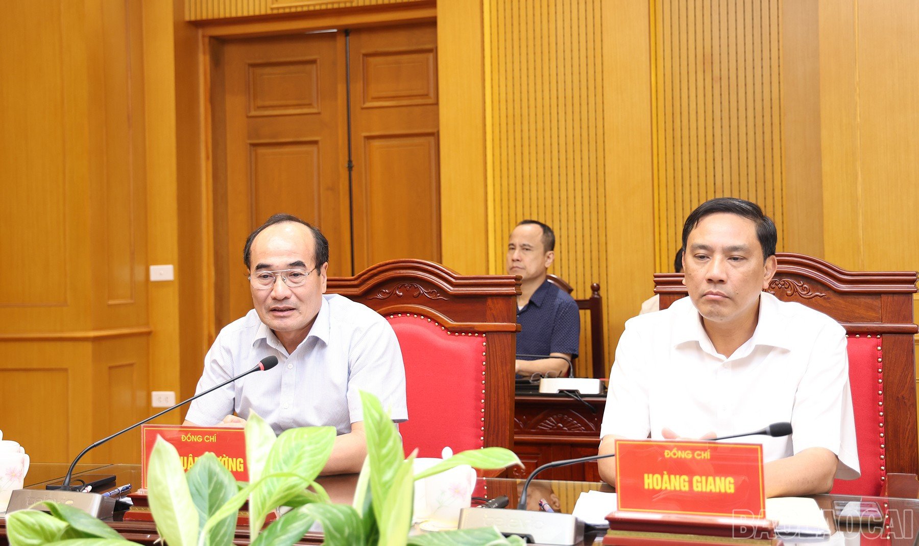 baolaocai-br_img-8580.jpg