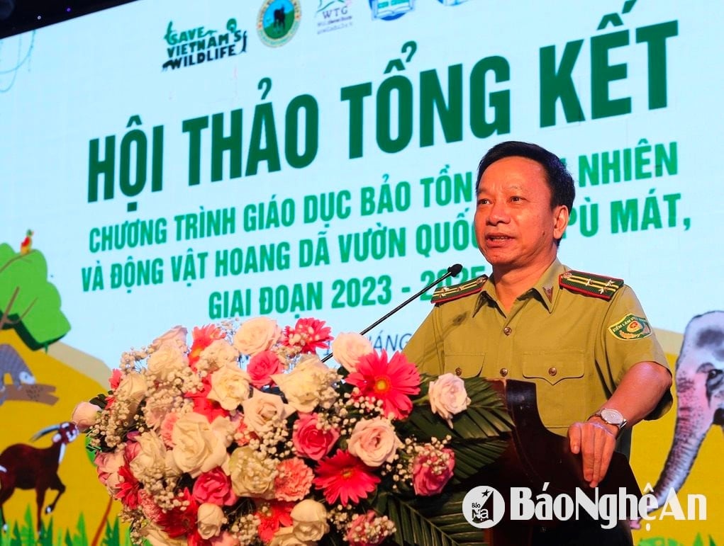 van truong m4566