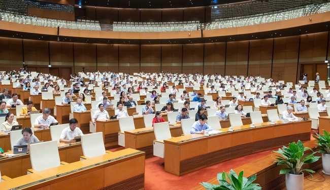 ĐBQH kiến nghị tăng cường kiểm soát, quản lý hoạt động quảng cáo đối với những người nổi tiếng - Ảnh 2.