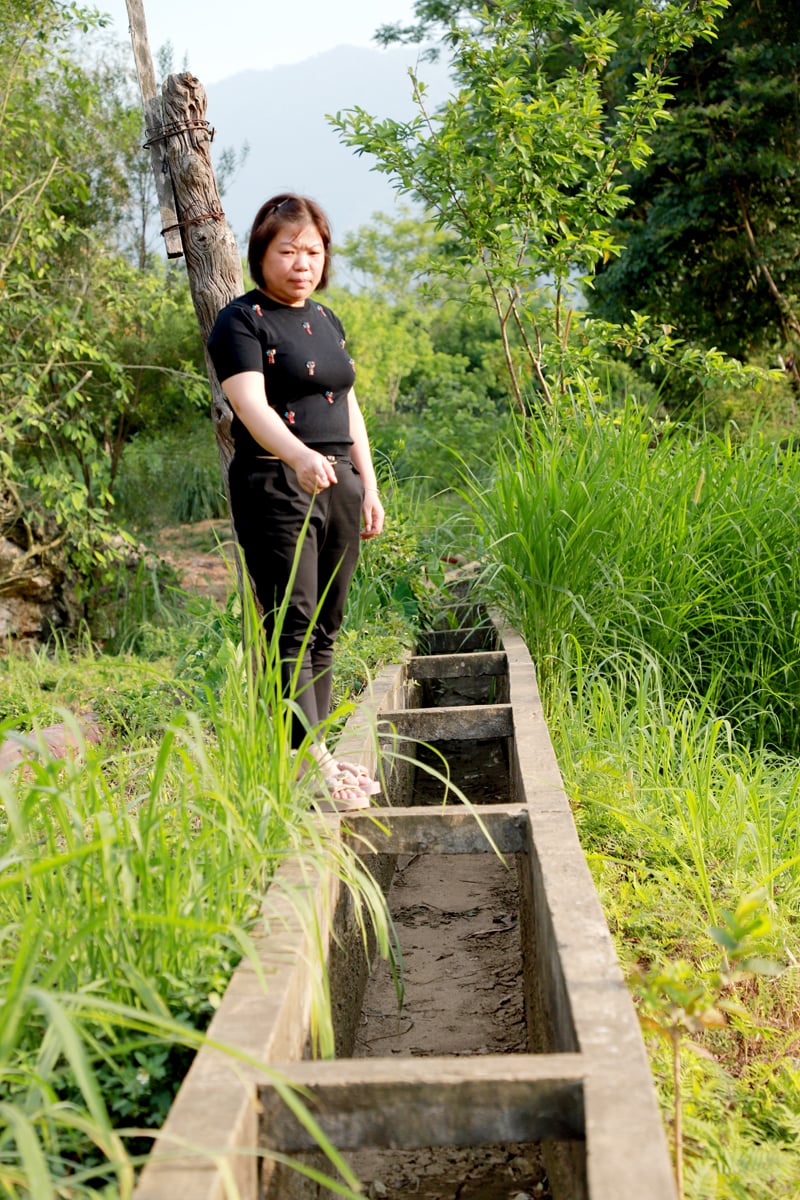 ប្រព័ន្ធប្រឡាយទឹកស្ងួត