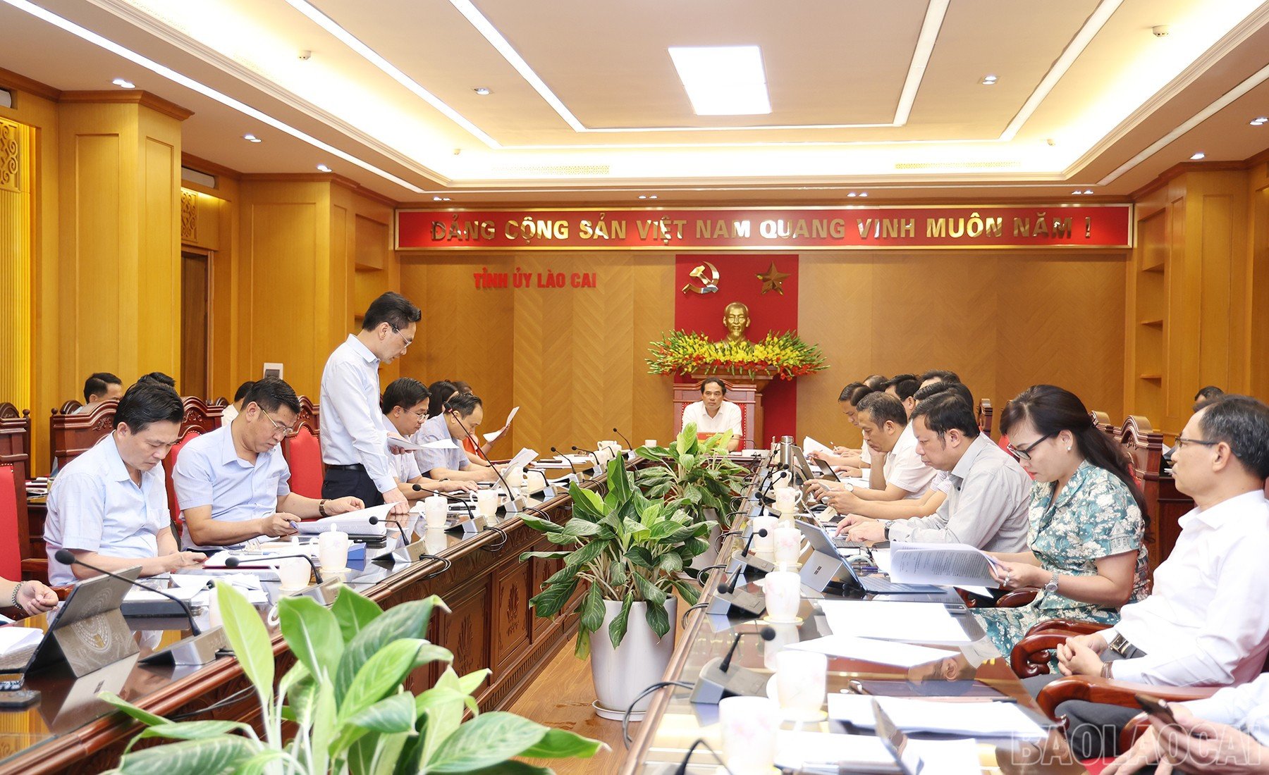 baolaocai-br_img-8473.jpg
