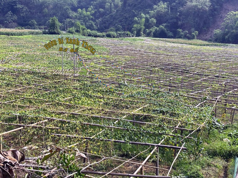 c4a0705ad7d5658b3cc4-7039.jpg