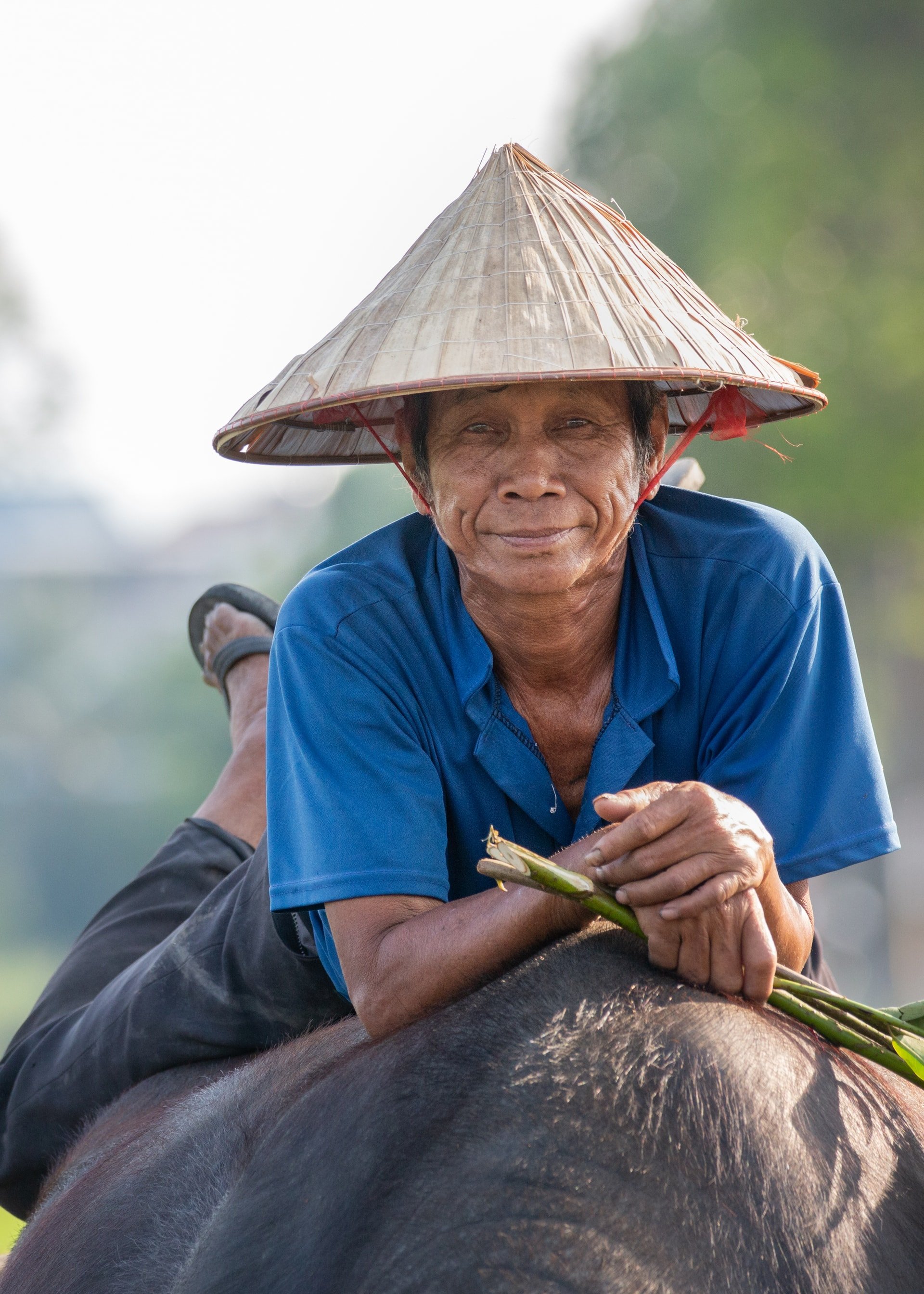 ong_tu_nguoi_phuc_vu_du_khach_dich_vu_coi_trau.jpg