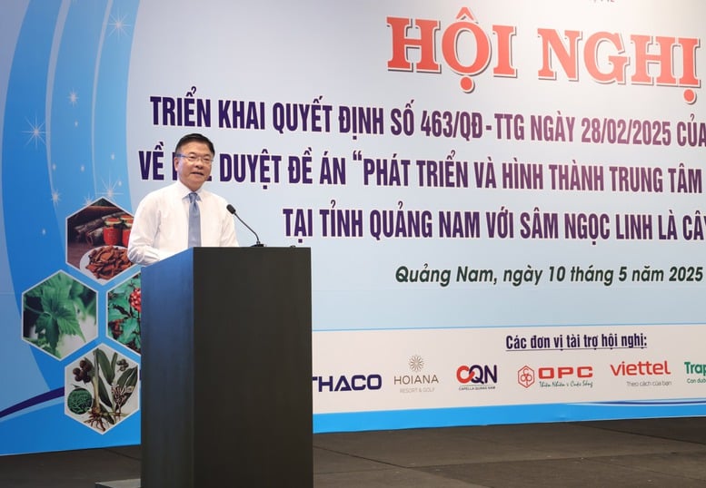 Phát triển 'thủ phủ sâm Ngọc Linh' thành trung tâm công nghiệp dược liệu- Ảnh 3.
