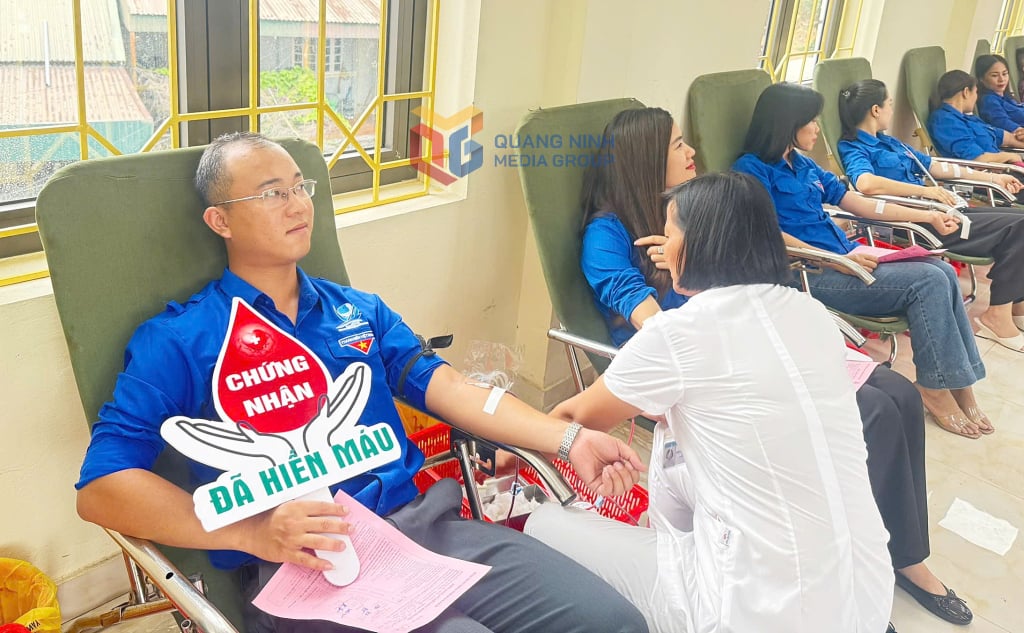 Đông đảo đoàn viên viên thanh niên trên địa bàn phường Hà Trung (TP Hạ Long) tham gia chương trình HMTN năm 2025.