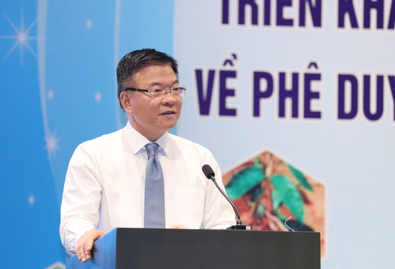 Phát triển 'thủ phủ sâm Ngọc Linh' thành trung tâm công nghiệp dược liệu- Ảnh 2.