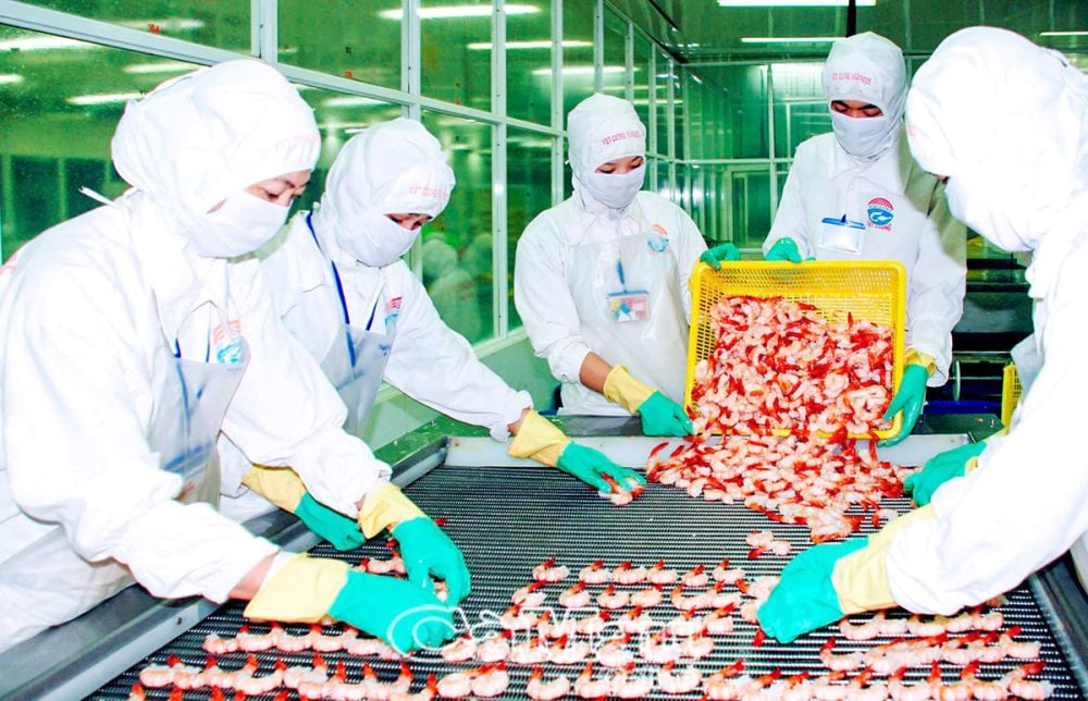 Chế biến thuỷ sản xuất khẩu là thế mạnh kinh tế hàng đầu của khu vực ÐBSCL.