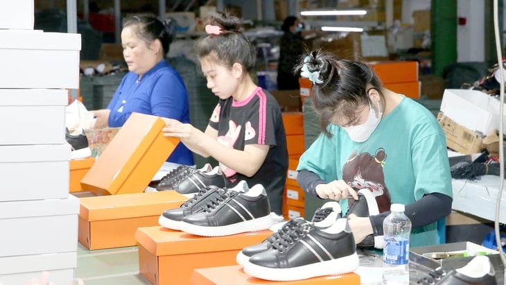 Tăng giá điện 4,8% người dân thêm lo, lỗ của EVN vẫn treo - Ảnh 2.