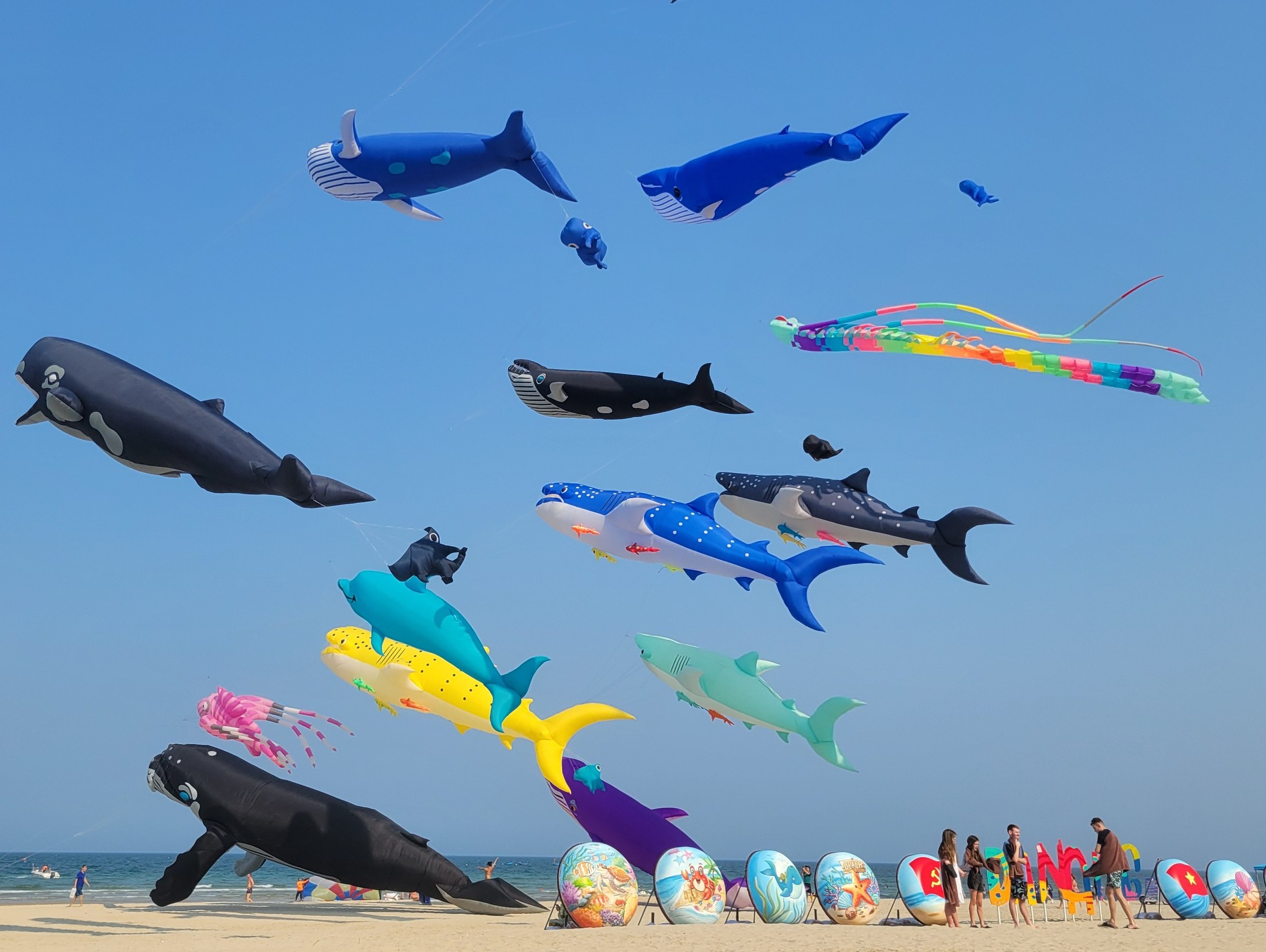 Nhiều bãi biển ở Phan Thiết rợp cánh diều gây ấn tượng cho du khách