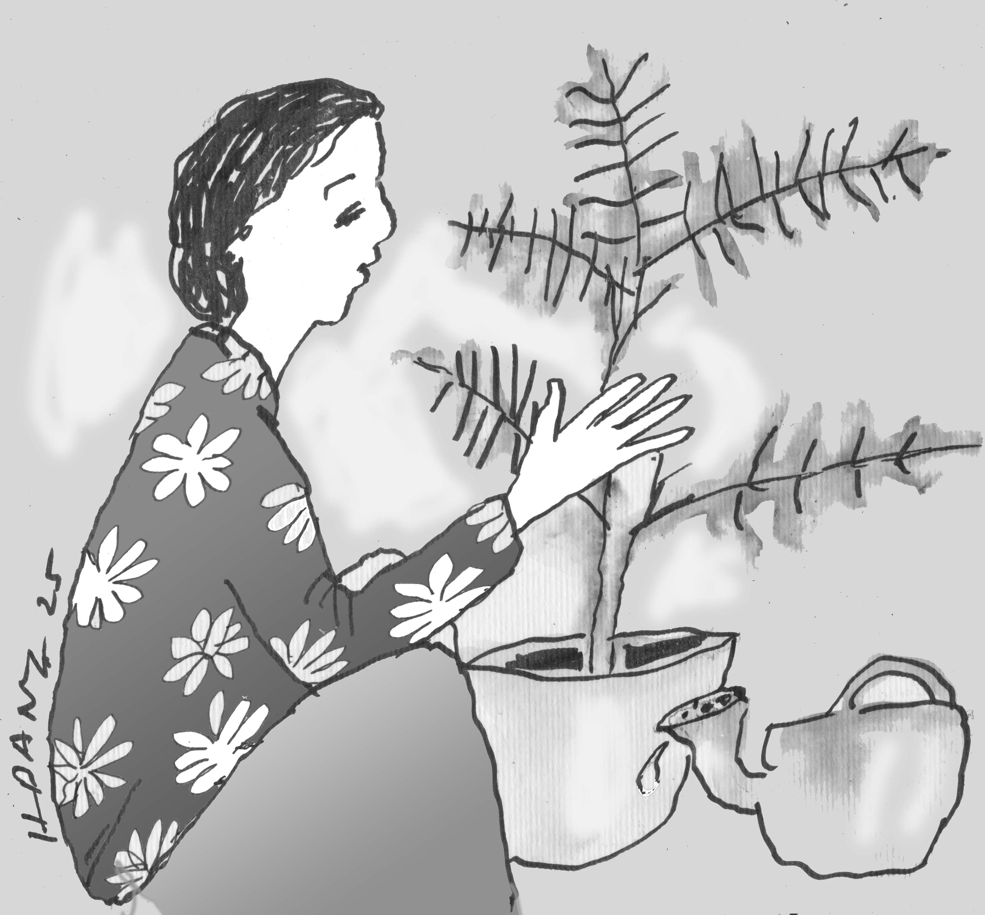 Minh họa: HOÀNG ĐẶNG