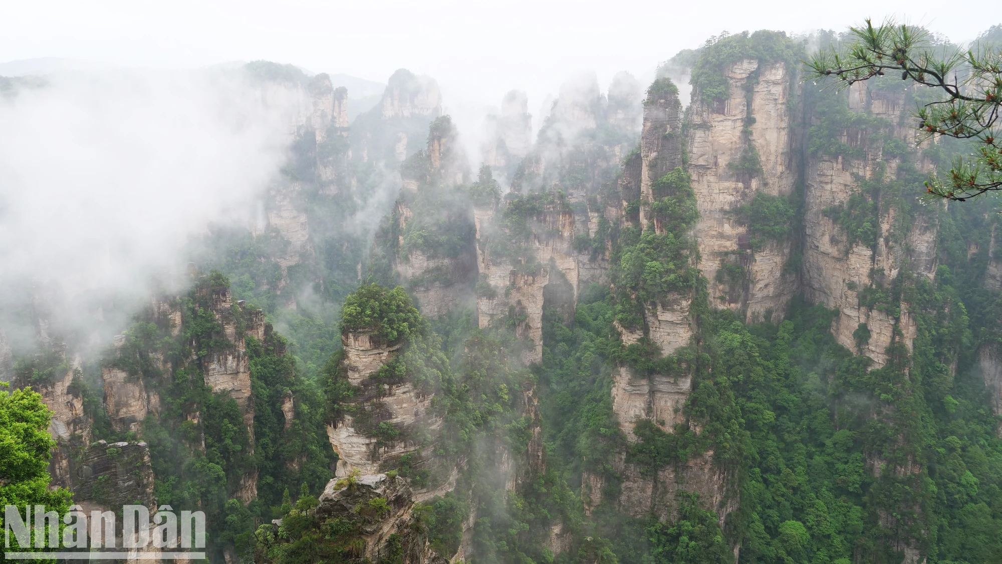 [Photo] Discover the beautiful scenery of Wulingyuan in Zhangjiajie, China photo 1