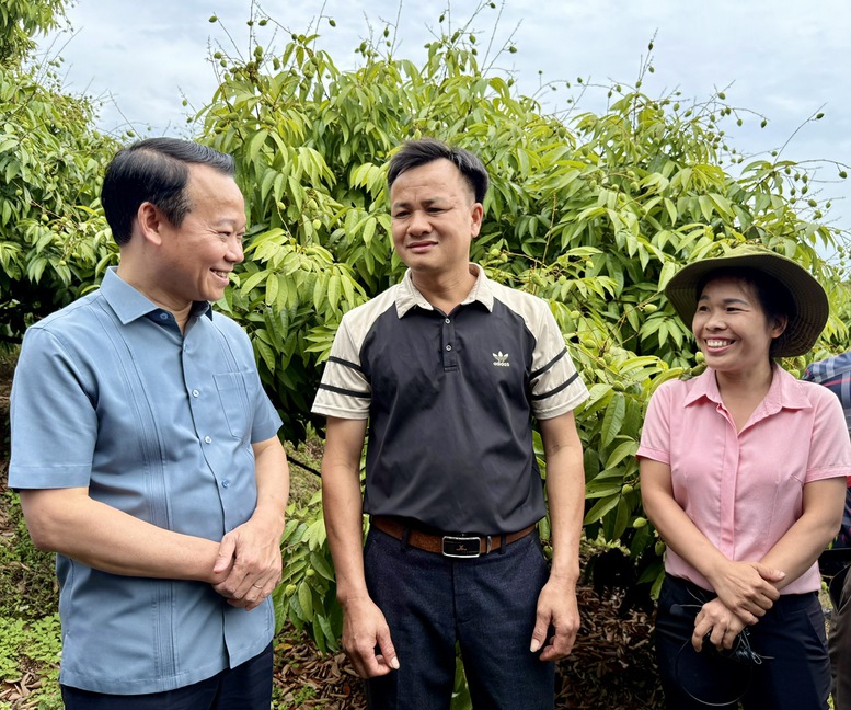 Sẵn sàng cho vụ vải thiều 2025- Ảnh 3.